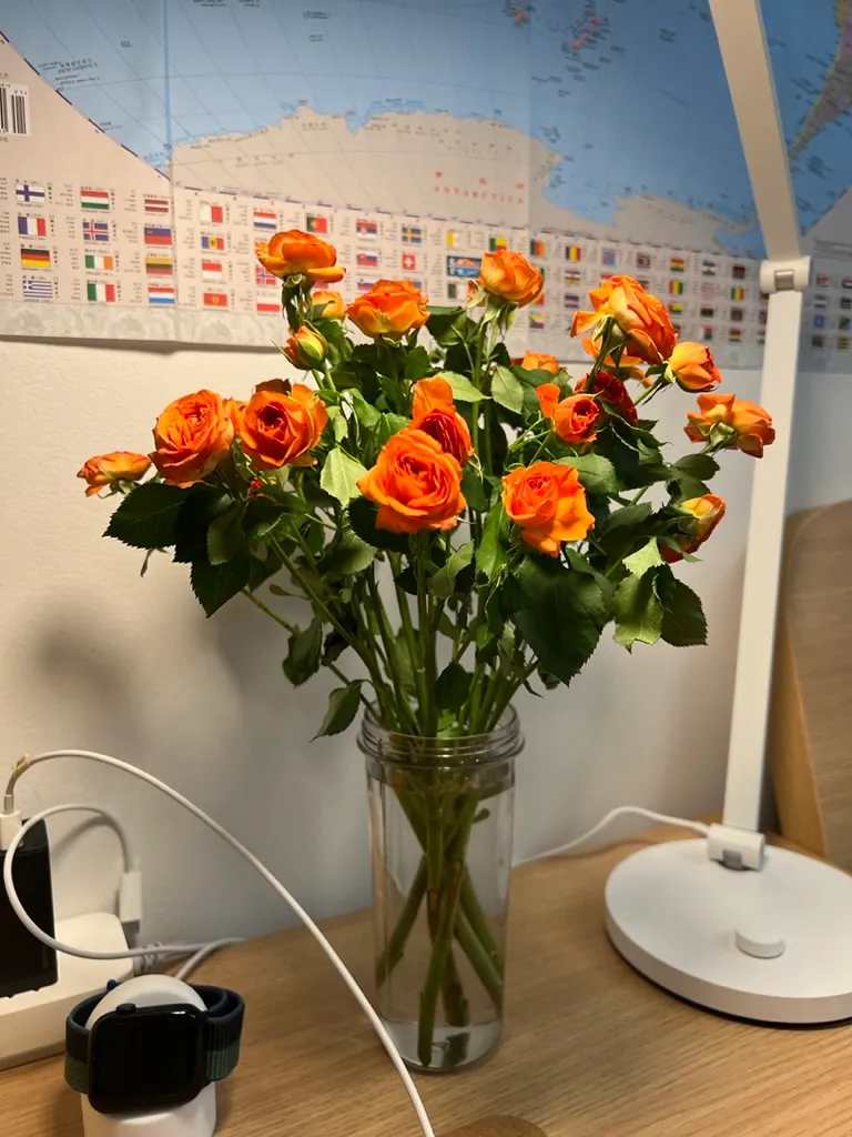 今生买的第一束花，10块钱（8月27日）