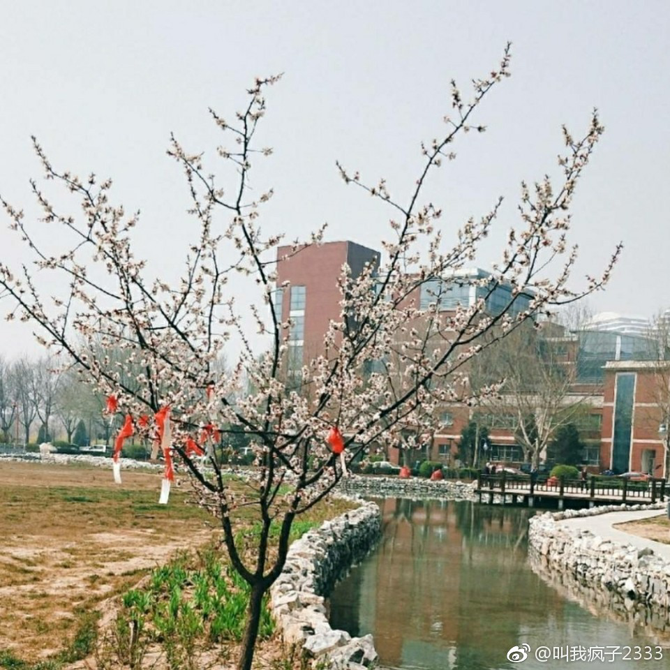 仲春