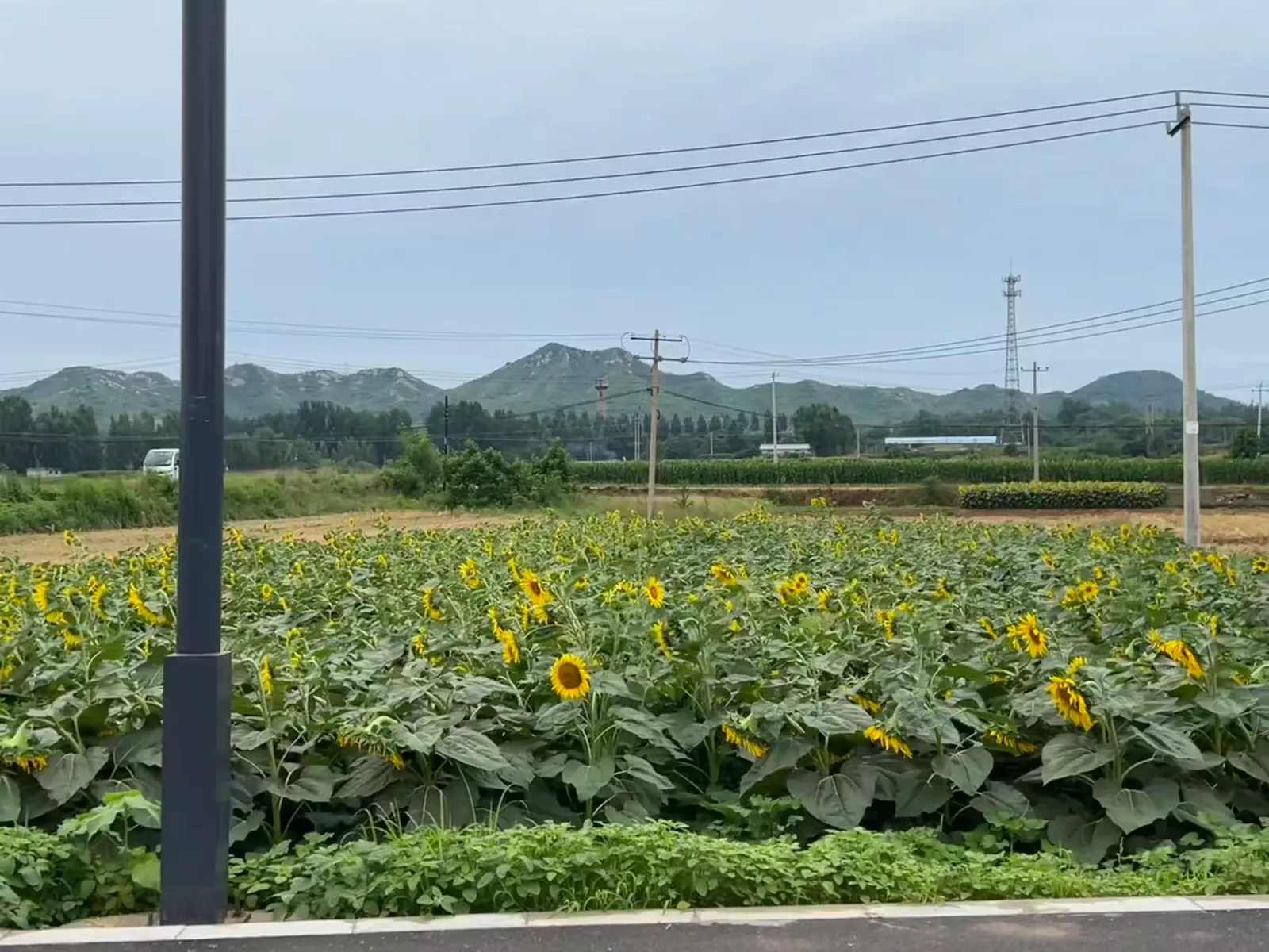 向